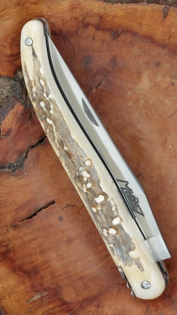 Couteau Mouche, bois de cerf Sambar – Image 4